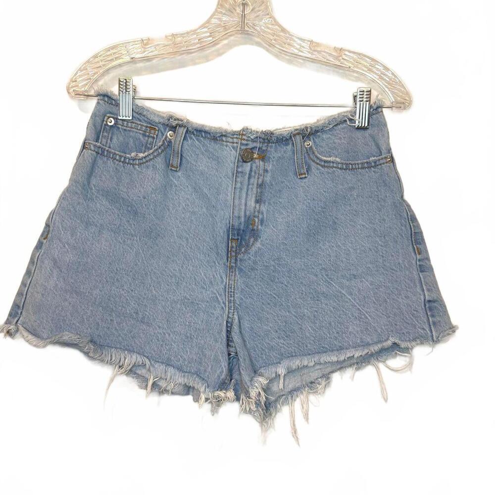 Denim Cutoff Shorts BDG,